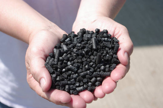 Biochar in Agricuture