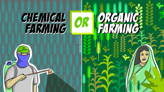 Chemical vs Organic vs Natural farming