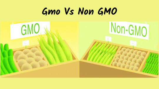 Gmo Vs Non GMO