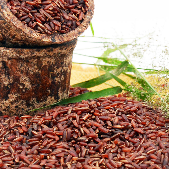 Kattuyanam Red Rice – Grain with SuperPowers!
