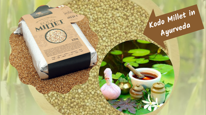 Kodo Millet in Ayurveda