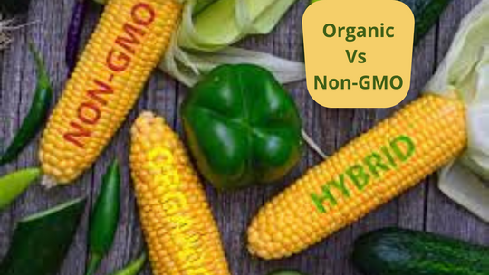 Organic Vs Non GMO