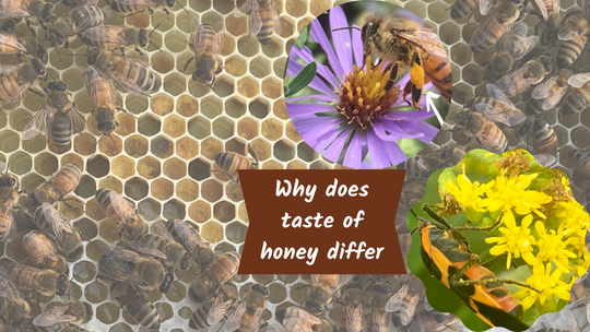 Why does taste of honey differ
