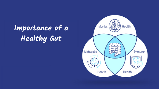 What is the importance of a healthy gut?