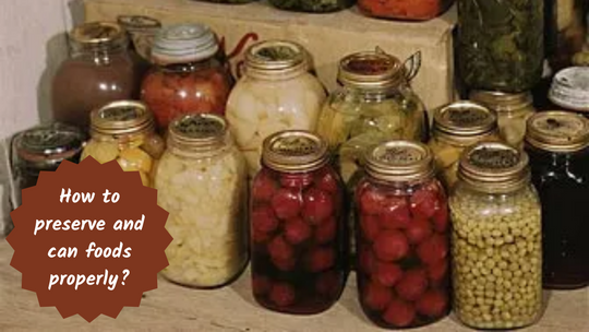 How to preserve and can foods properly?