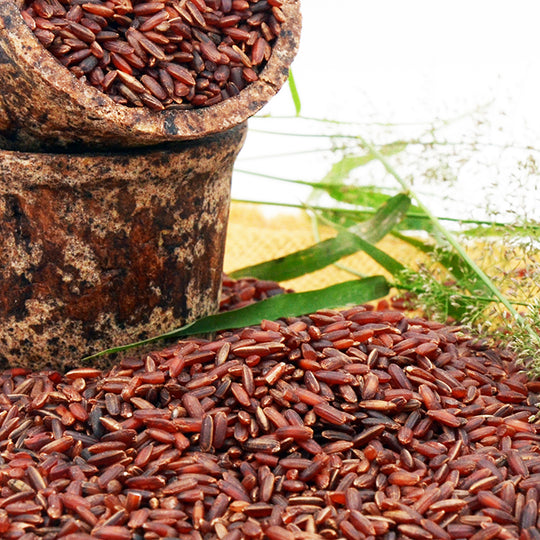 Red Rice – Grain with SuperPowers!