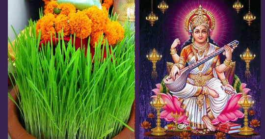 Navratri Ghatasthapana – a classical farming culture