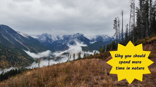 Why you should spend more time in nature