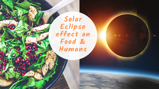 Does solar eclipse have an impact on food and Human beings